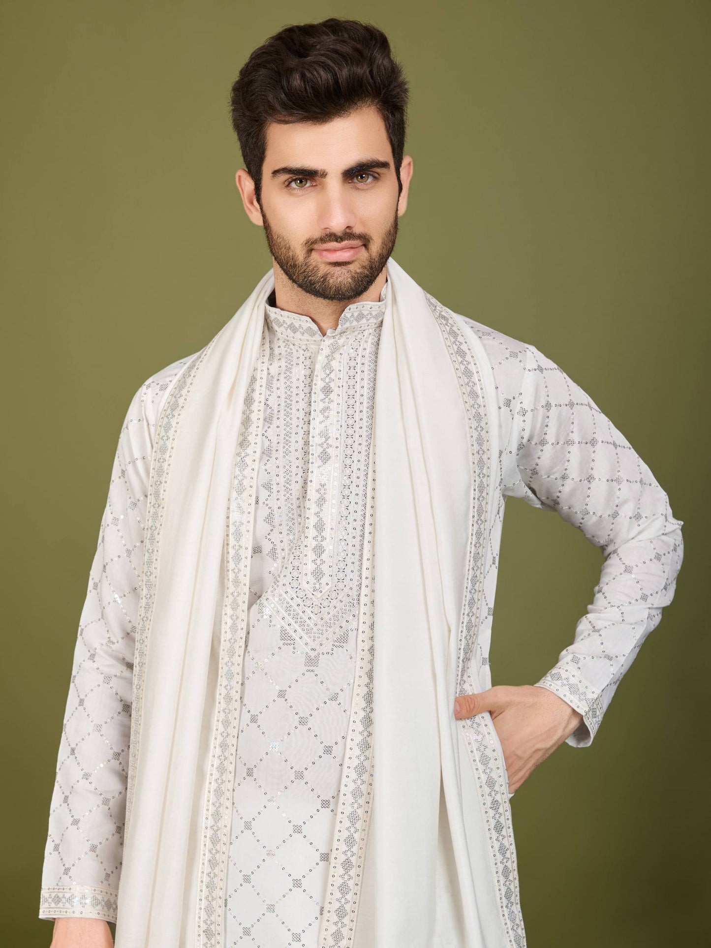 Elegant festive Embroidered Kurta Set